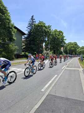 WhatsAppova datoteka Slika, 2025-06-04 ob 16.13.03_cc74cf68